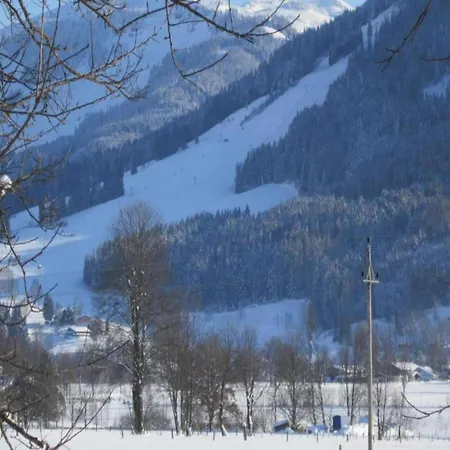 Cosy In Salzburg With Garden Apartment *